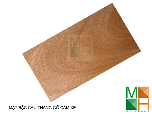  Mặt bậc cầu thang gỗ căm xe